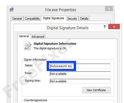 Screenshot of the Solusseum Inc certificate